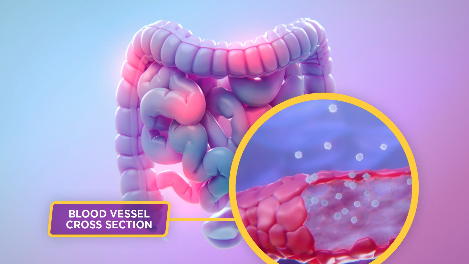 ENTYVIO® (vedolizumab) Mechanism Of Action